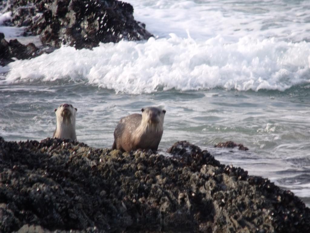 Апартаменты Kamma-Otter Нейчерс-Валли Экстерьер фото